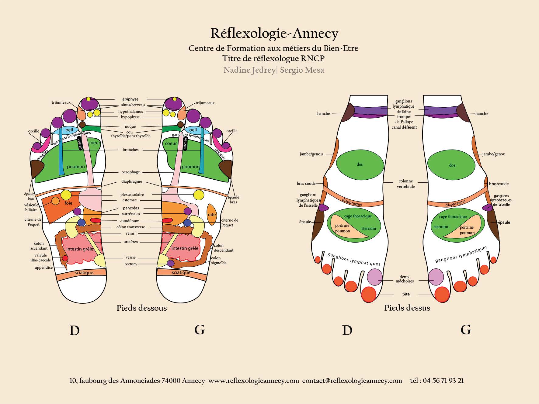 La Réflexologie Dans Quel But Tamara Ly Réflexologie